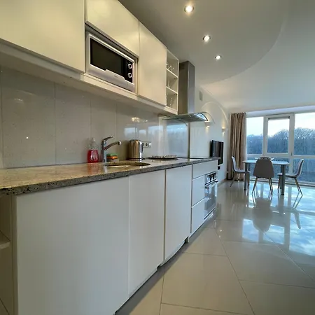 Lägenhet 2 Bedroom Penthouse Park View 70m2 Free Parking Riga